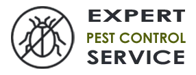 Exterminator Company Dania Beach FL